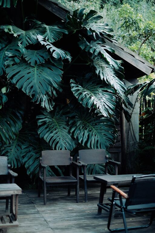 Tips for Creating a Relaxing Garden Space at Home